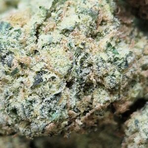 Panama Red x Trainwreck